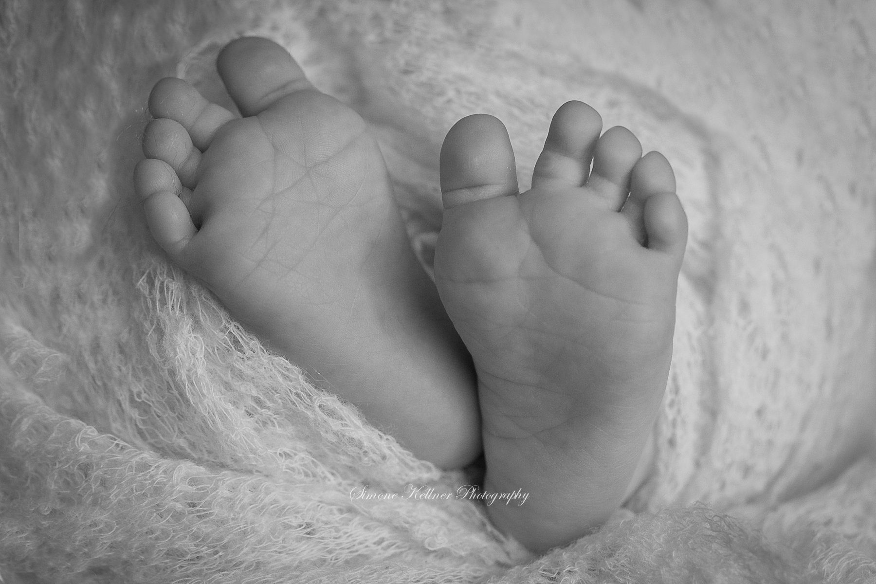 Maus, Neugeborene, Babyfotos, Neugeborenenfotografie